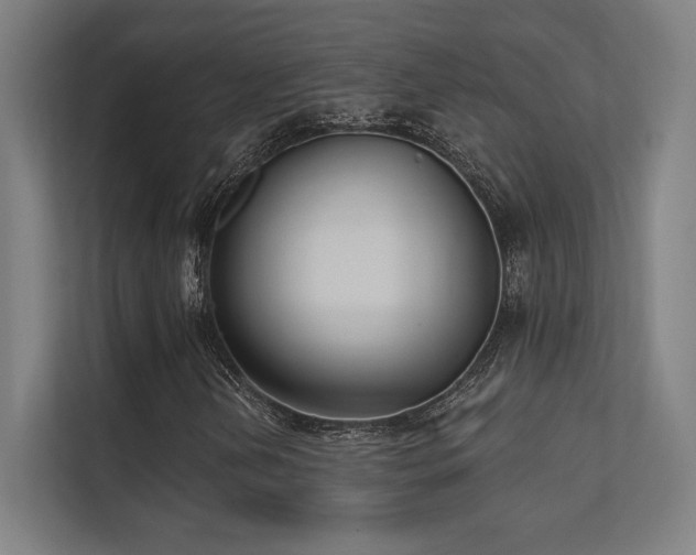 X0000112001202200908101315