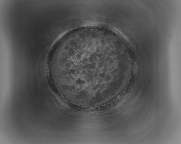 X0000112001208200908101315