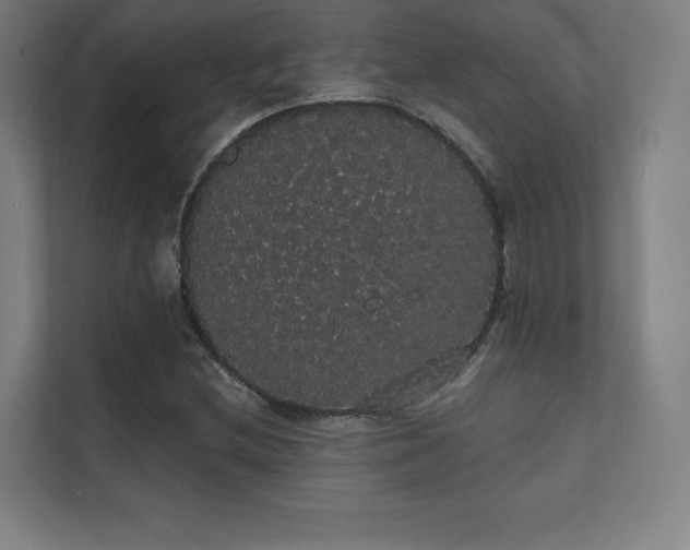 X0000112001212200908101315