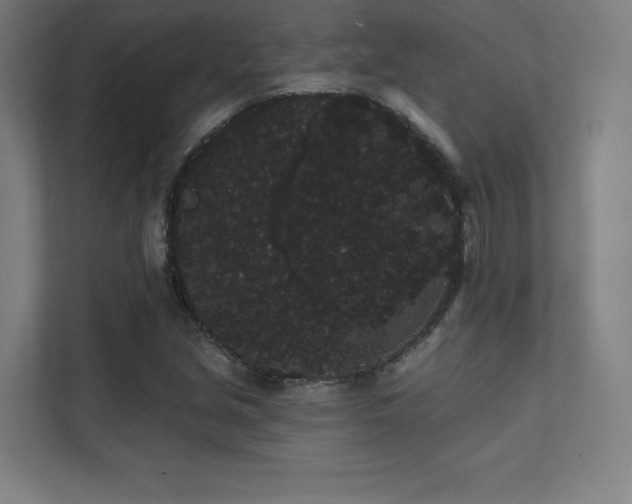 X0000112001213200908101315