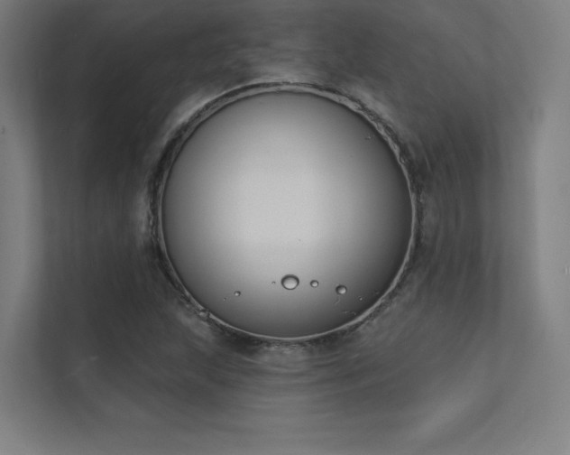 X0000112001215200908101315