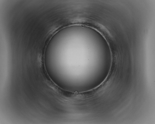 X0000112001217200908101315