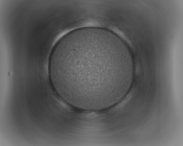 X0000112001222200908101315