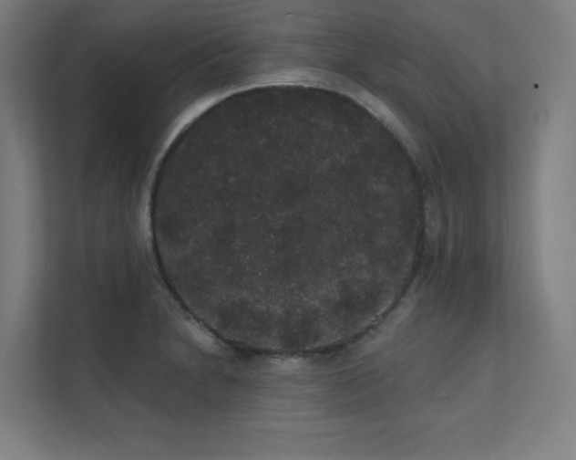 X0000112001230200908101315