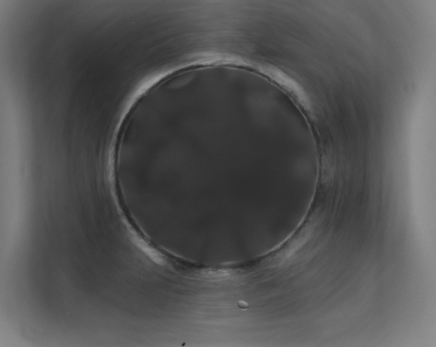 X0000112001231200908101315