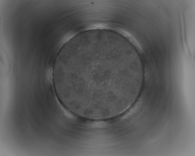 X0000112001233200908101315