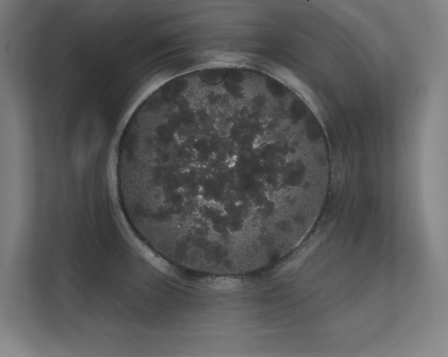 X0000112001235200908101315