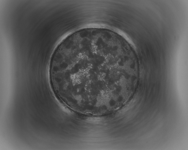 X0000112001237200908101315