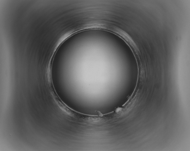 X0000112001242200908101316