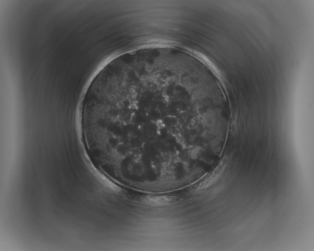 X0000112001243200908101316