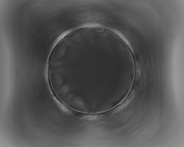 X0000112001245200908101316