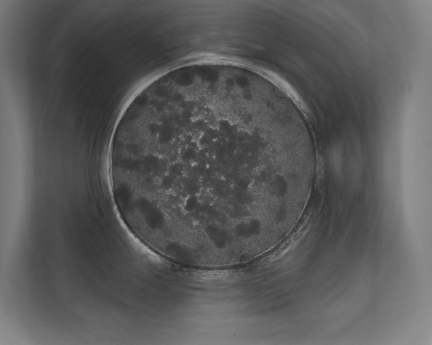 X0000112001247200908101316