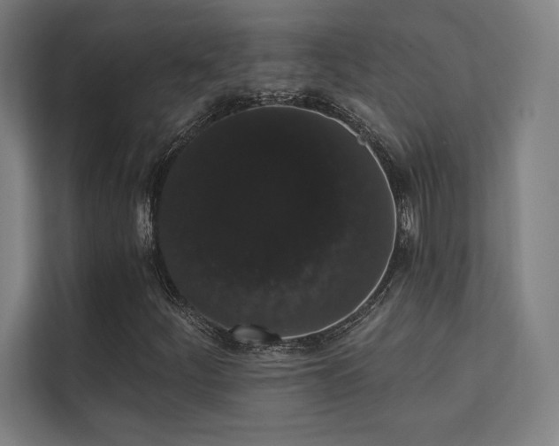 X0000112001252200908101315