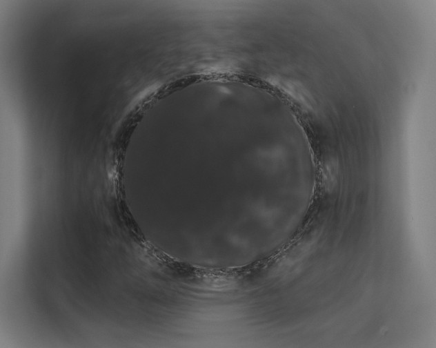 X0000112001254200908101315