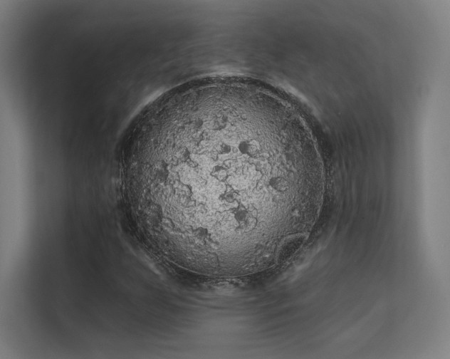 X0000112001255200908101315