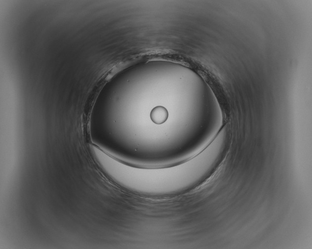 X0000112001257200908101315