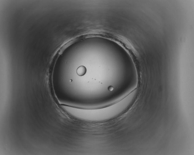 X0000112001260200908101315