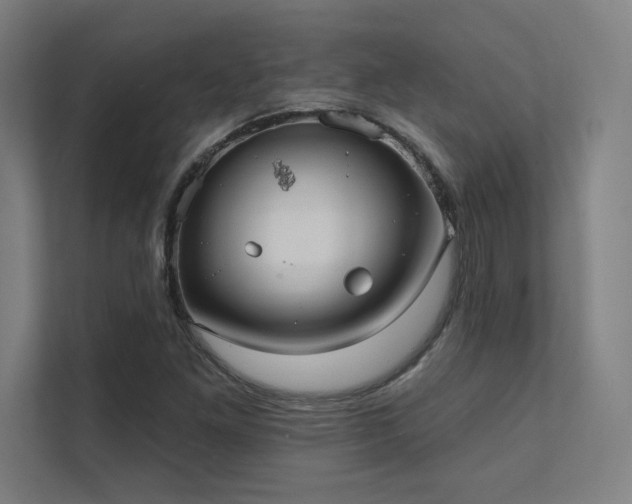 X0000112001261200908101315