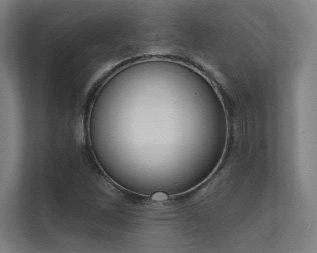 X0000112001262200908101315