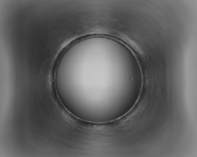 X0000112001264200908101315