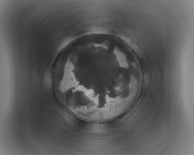 X0000112001266200908101315