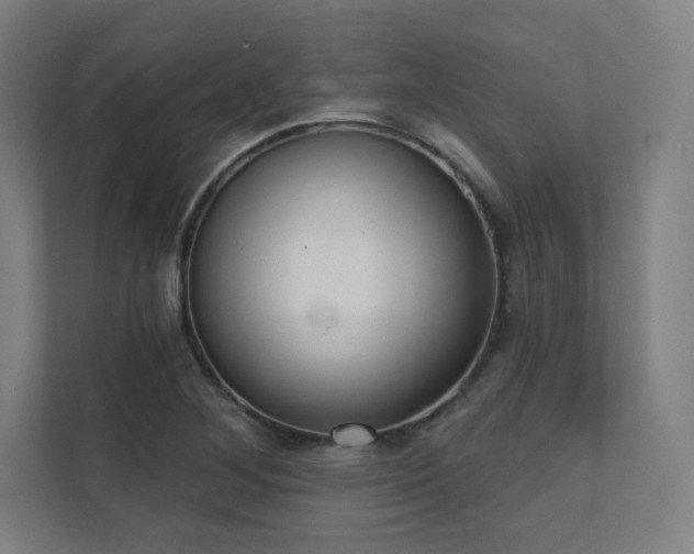 X0000112001268200908101315