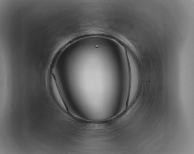 X0000112001269200908101315