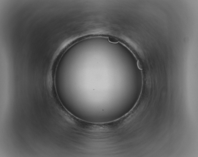 X0000112001270200908101315