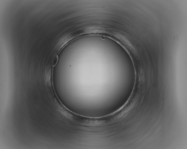 X0000112001273200908101315