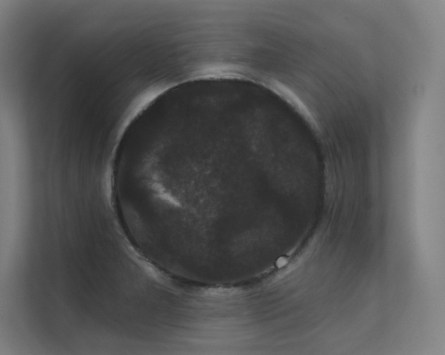 X0000112001277200908101315