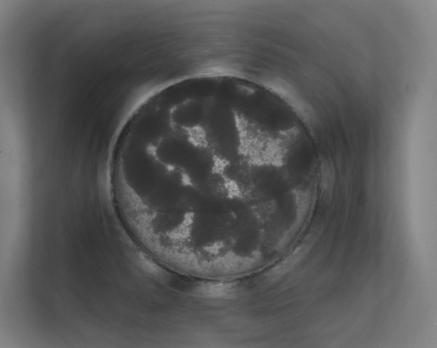 X0000112001278200908101315