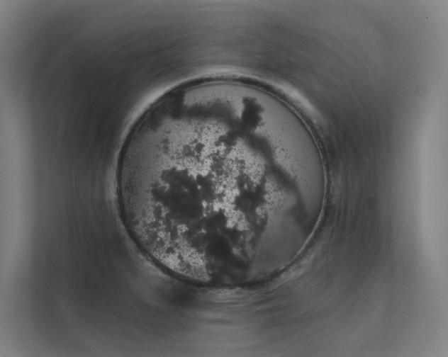 X0000112001279200908101315