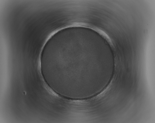 X0000112001280200908101315