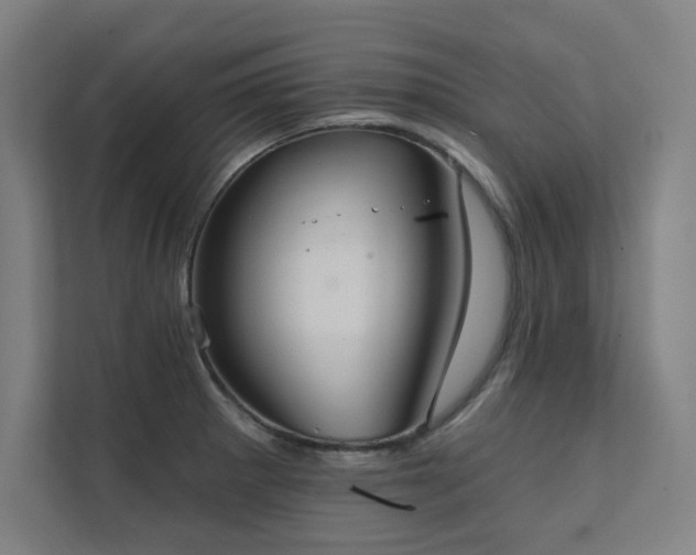 X0000112001281200908101315