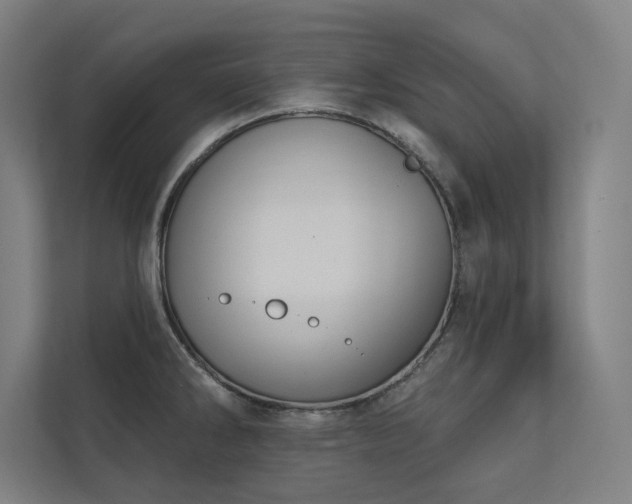 X0000112001286200908101314