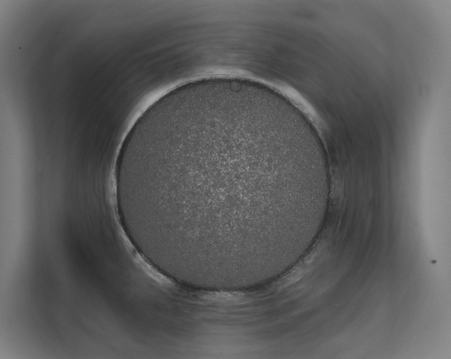 X0000112001287200908101314