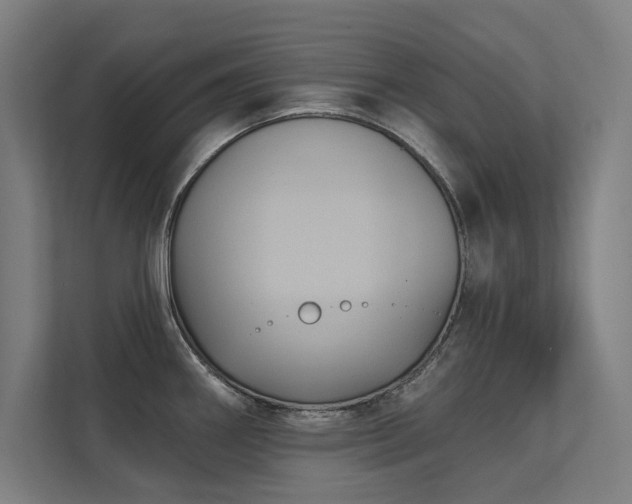 X0000112001290200908101314