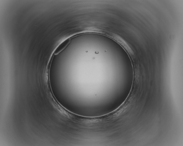 X0000112001292200908101314