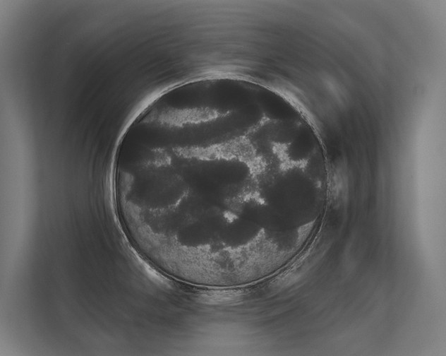 X0000112001294200908101314