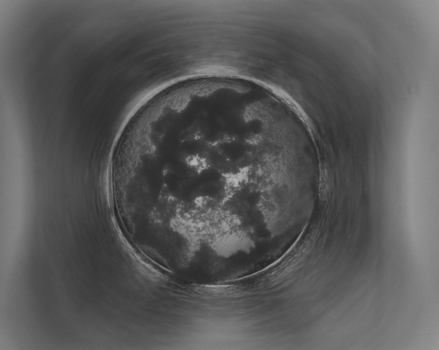 X0000112001295200908101314