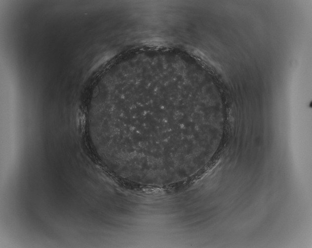 X0000112001302200908101314