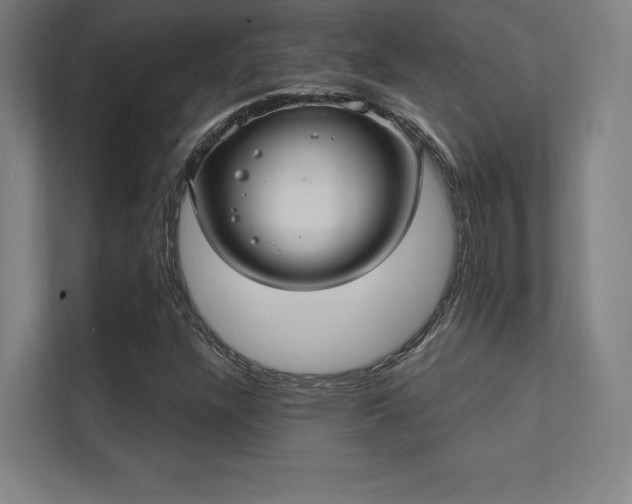 X0000112001304200908101314