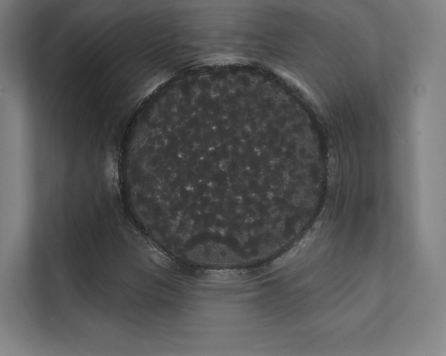 X0000112001305200908101314