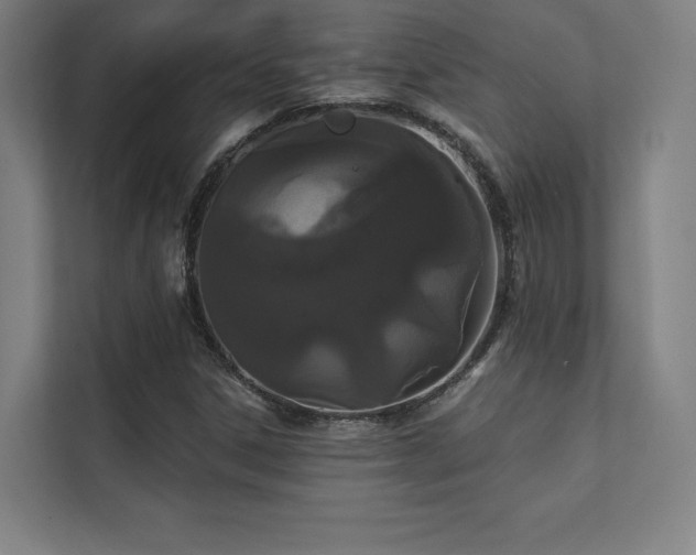 X0000112001306200908101314