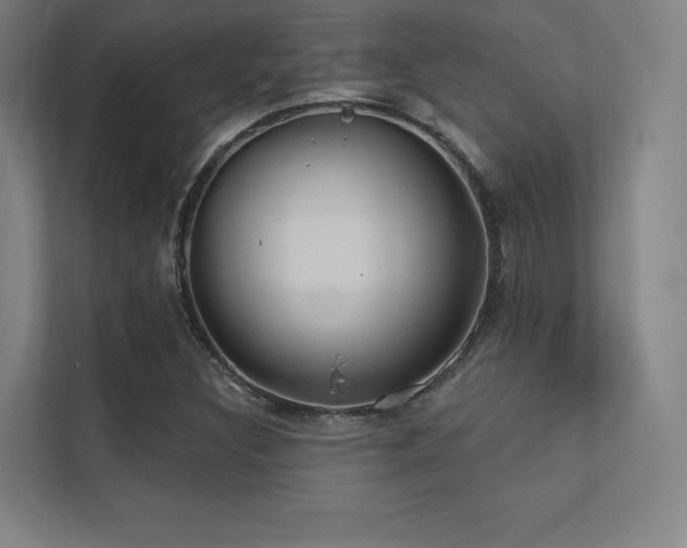 X0000112001308200908101314