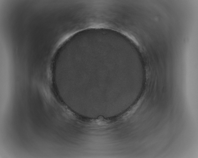 X0000112001311200908101314