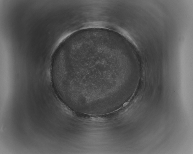 X0000112001312200908101314