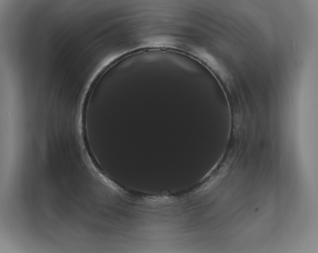 X0000112001331200908101314