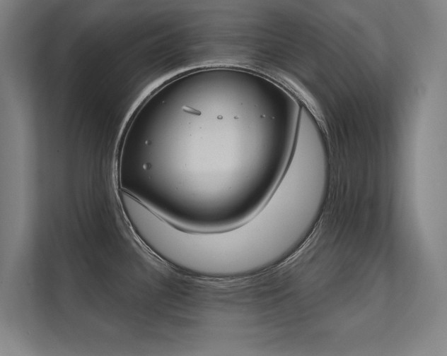 X0000112001340200908101314