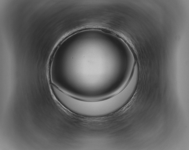 X0000112001342200908101314